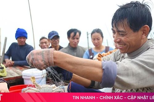 Tiếp tục phát triển mô hình tổ đồng quản lý nghề cá ven bờ tại Hà Tĩnh