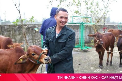 Trao 36 con bò sinh kế cho các gia đình khó khăn ở xã Lộc Hà