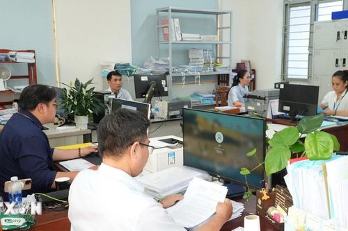 Thành phố Hồ Chí Minh 'hóa giải' áp lực quá tải ở cấp cơ sở
