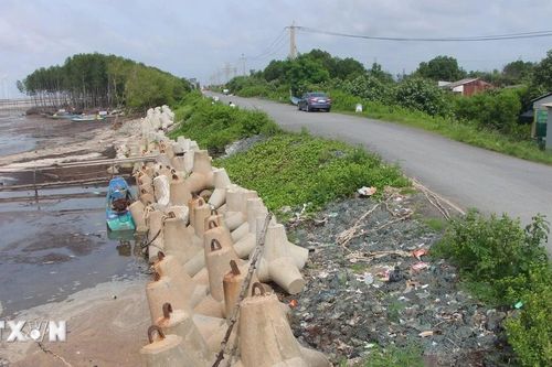 Cà Mau đầu tư 185 tỷ đồng làm kè giảm sóng, hạn chế tình trạng xói lở bờ biển