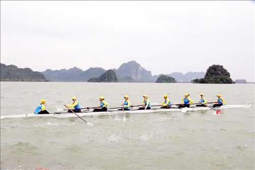 Trên 500 vận động viên tham gia giải đua thuyền quốc gia năm 2025