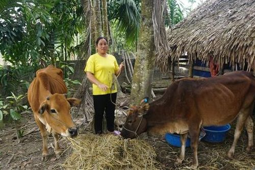 Trao 'cần câu', gieo mầm hy vọng thoát nghèo cho người dân vùng cao