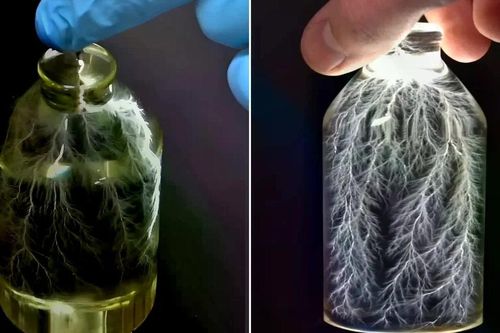 Bắt trọn 'tia sét trong chai': Thí nghiệm máy gia tốc tạo sét 3D gây ấn tượng mạnh