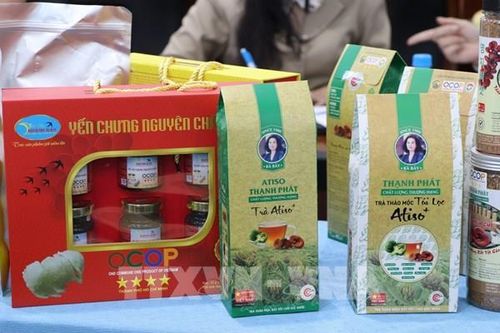 Phó Thủ tướng: Nhân rộng mô hình sản xuất, kinh doanh thực phẩm an toàn