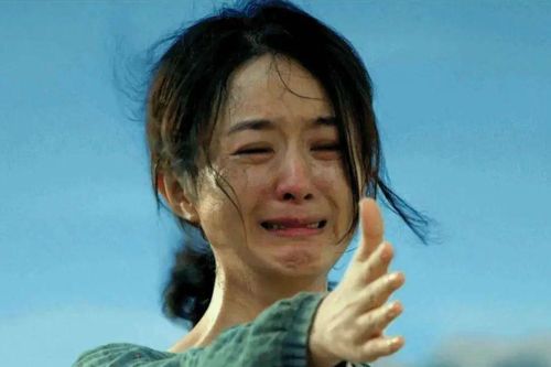 Triệu Lệ Dĩnh gây tranh cãi