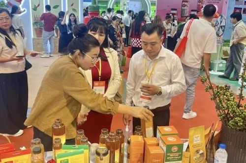 Xúc tiến thương mại mở lối cho nông sản Gia Lai vươn xa