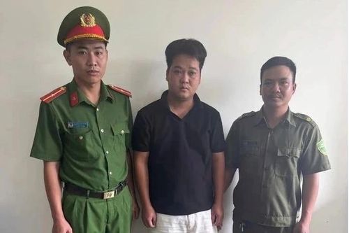 Đào mồ lợn bệnh, chôn vùi lương tri