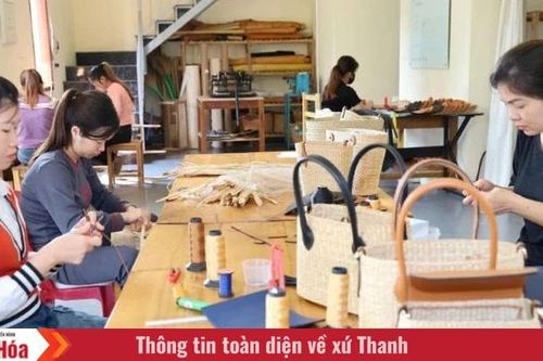 Giấc mơ ở làng nghề cói
