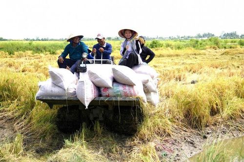 Tín dụng ngân hàng tạo lực đẩy để An Giang bứt tốc sau hợp nhất