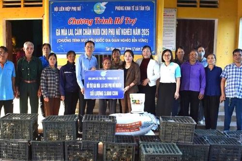 Xã Tân Yên: Đồng bộ các giải pháp xây dựng nông thôn mới