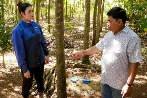 Cánh tay nối dài vốn tín dụng chính sách