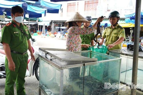 Phát hiện 2 trường hợp mua bán động vật hoang dã có dấu hiệu vi phạm pháp luật