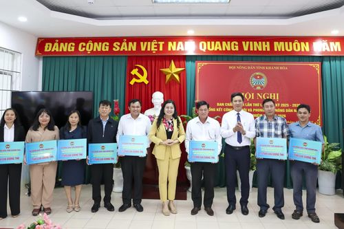 Hội Nông dân tỉnh Khánh Hòa: Hỗ trợ 10 tấn lúa giống cho nông dân bị thiệt hại do mưa lũ