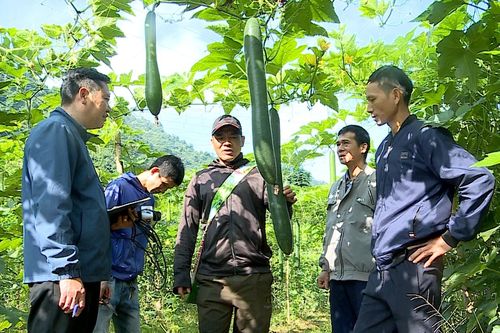 Nâng cao đời sống người dân thông qua phát triển nông nghiệp