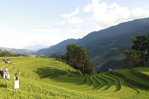 Du lịch Lào Cai đặt mục tiêu đón 11,28 triệu lượt khách trong năm 2026