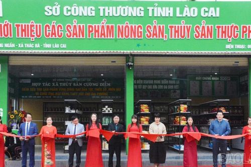 Lào Cai: Khai trương mô hình thương mại 2 chiều