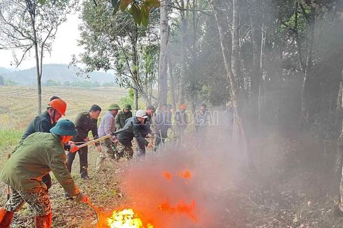 Thực tập phương án phòng cháy, chữa cháy rừng tại xã Mường Hum