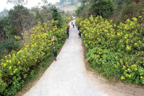 Đường hoa mang khát vọng đổi thay