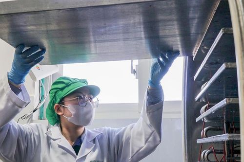 Sản phẩm OCOP Lâm Ðồng vào vụ tết