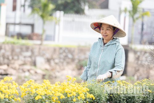 Người 'giữ lửa' phong trào phụ nữ ở thôn Như Sơn