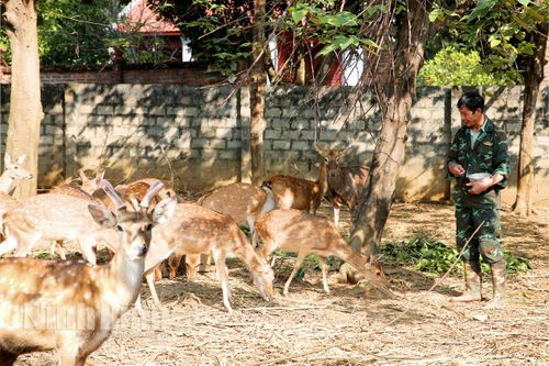 Giảm nghèo bền vững ở Phú Long: Trao sinh kế, khơi dậy nội lực người dân