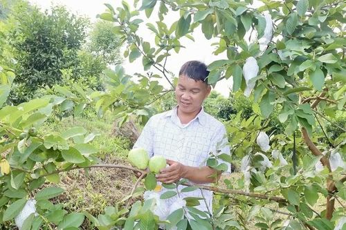 Động lực để đồng bào dân tộc thiểu số 'an cư lập nghiệp'