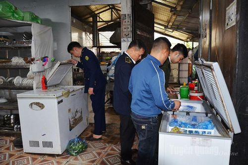 Phát hiện 11 vụ vi phạm về động vật hoang dã và nguồn lợi thủy sản
