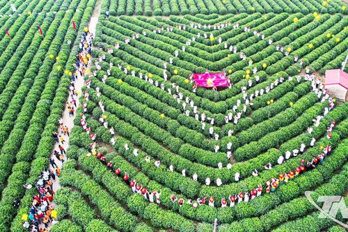 Du lịch Thái Nguyên bứt tốc để vươn xa