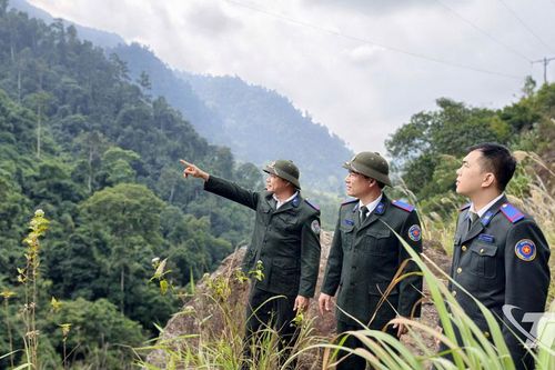 Khu dự trữ thiên nhiên Thần Sa - Phượng Hoàng: Vùng lõi đa dạng sinh học được bảo vệ nghiêm ngặt