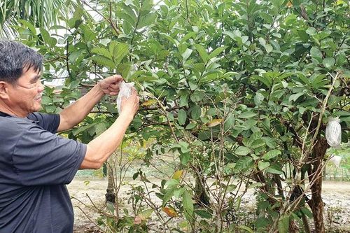 Giảm nghèo bền vững & những giải pháp căn cơ