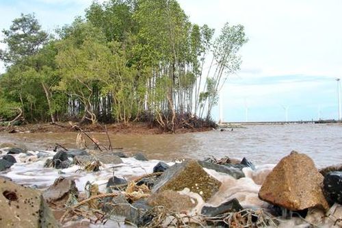 Cà Mau đầu tư 185 tỷ đồng khép kín tuyến kè giảm sóng bảo vệ đê biển Đông