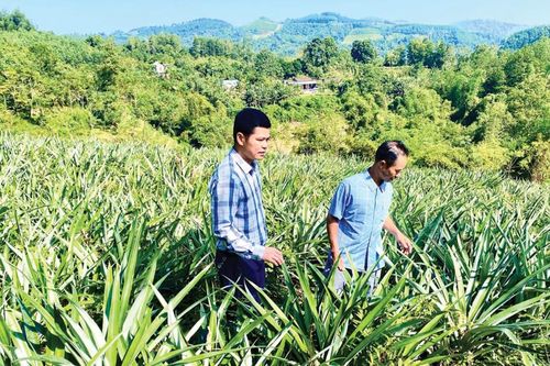 Lan tỏa niềm tin và khát vọng từ nghị quyết Đảng bộ xã