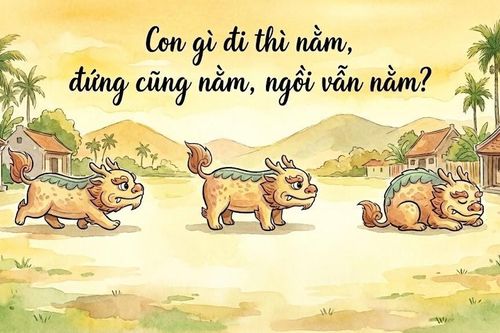 Con gì đi thì nằm, đứng cũng nằm, ngồi vẫn nằm?