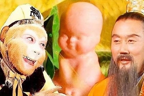 Vì sao trong Tây Du Ký chỉ Bồ Tát cứu được cây nhân sâm bị Ngộ Không quật ngã?