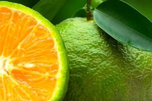 5 loại trái cây giàu kali hỗ trợ kiểm soát và giảm huyết áp tự nhiên