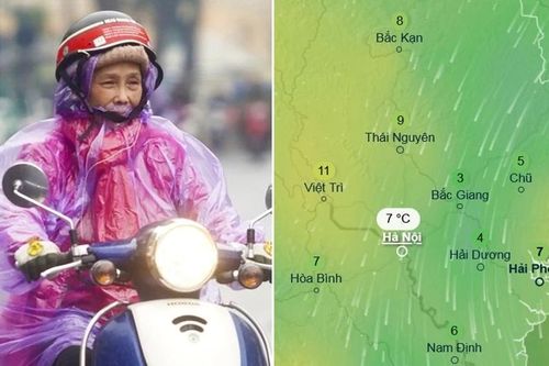 Thực hư thông tin sẽ rét đậm sau Tết Dương lịch: Hà Nội có chạm mức 7 độ C?