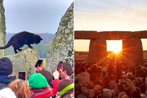 Mèo đen xuất hiện ở vòng tròn đá cổ Stonehenge đúng bình minh ngày Đông Chí