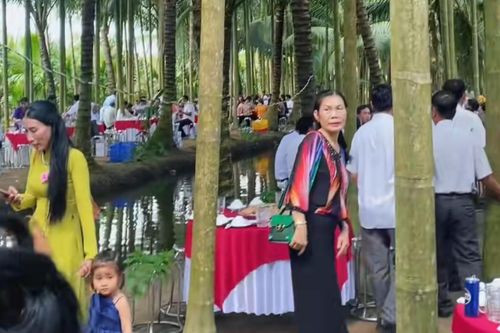 Đám cưới miền Tây giữa vườn dừa 'gây sốt'