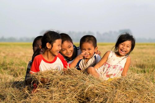 Ngày Dân số Việt Nam