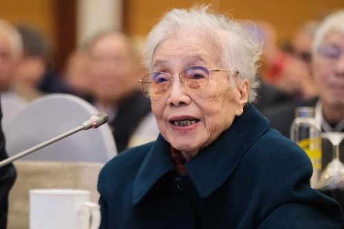 Anh hùng Lao động Nguyễn Thị Bình - đại biểu cao tuổi nhất Đại hội thi đua yêu nước toàn quốc lần thứ XI
