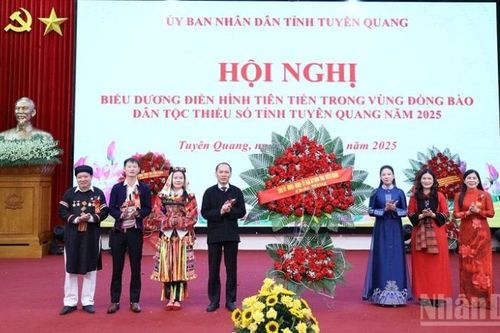 Tuyên Quang biểu dương 300 điển hình vùng đồng bào dân tộc thiểu số năm 2025