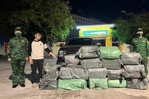 Quảng Ninh: Bắt vụ vận chuyển trái phép gần 4 tạ thực phẩm bẩn