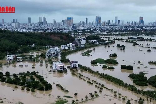 415 người chết, mất tích, 728 người bị thương do thiên tai năm 2025