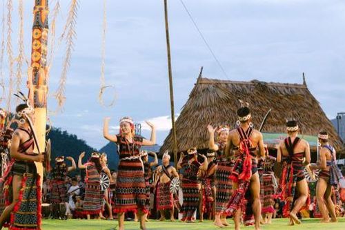 Du lịch nông thôn tạo sinh kế cho hơn 4.000 hộ dân Đà Nẵng