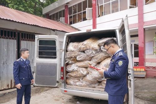 Cao Bằng phát hiện hơn 2,2 tấn lá cây thuốc lá khô không rõ nguồn gốc