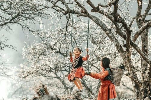Việt Nam lọt top điểm đến mùa đông lý tưởng nhất