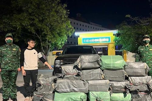 Mượn ô tô của bố vợ đi chở thuê gần 400kg lòng lợn thối