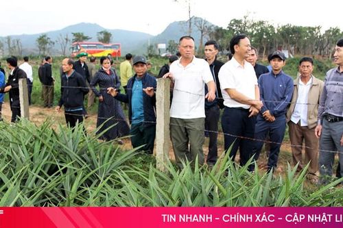 Hương Bình hỗ trợ sinh kế, hướng tới giảm nghèo bền vững