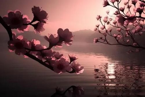 Đêm ngồi với chữ