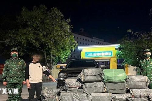 Quảng Ninh: Bắt giữ vụ vận chuyển trái phép gần 400kg lòng lợn đã bốc mùi